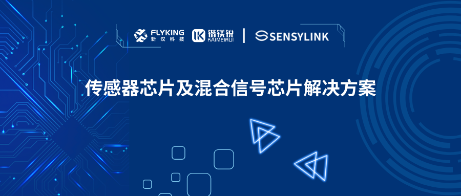 芯版圖 | 攜手申矽凌，高性能傳感器芯片及混合信號芯片已就位